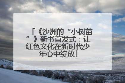《沙洲的“小树苗”》新书首发式：让红色文化在新时代少年心中绽放