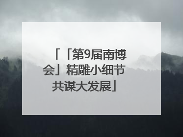 「第9届南博会」精雕小细节共谋大发展