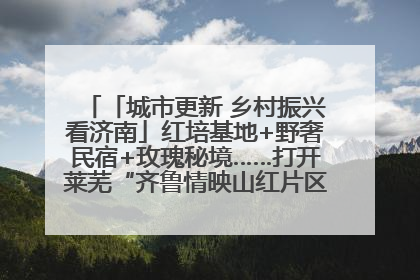 「城市更新 乡村振兴看济南」红培基地+野奢民宿+玫瑰秘境……打开莱芜“齐鲁情映山红片区”的破圈秘籍