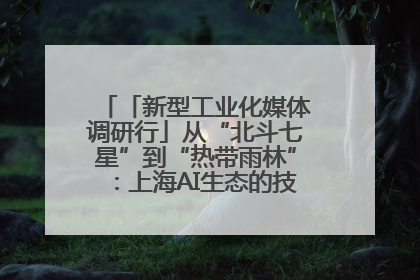 「新型工业化媒体调研行」从“北斗七星”到“热带雨林”：上海AI生态的技术商业共生密码