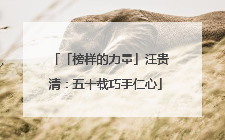 「榜样的力量」汪贵清：五十载巧手仁心