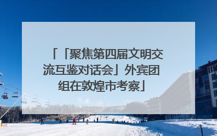 「聚焦第四届文明交流互鉴对话会」外宾团组在敦煌市考察
