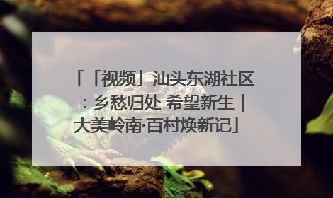 「视频」汕头东湖社区：乡愁归处 希望新生｜大美岭南·百村焕新记
