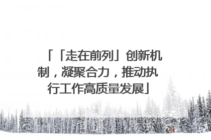 「走在前列」创新机制，凝聚合力，推动执行工作高质量发展