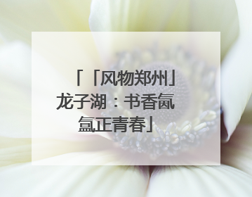 「风物郑州」龙子湖：书香氤氲正青春