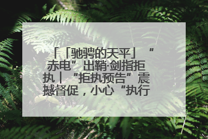 「驰骋的天平」“赤电”出鞘·剑指拒执︱“拒执预告”震撼督促，小心“执行”变“执刑”