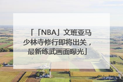 「NBA」文班亚马少林寺修行即将出关，最新练武画面曝光