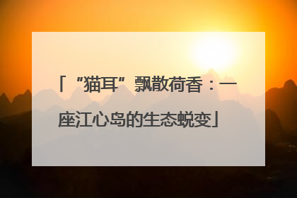 “猫耳”飘散荷香：一座江心岛的生态蜕变