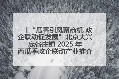 “瓜香引凤聚商机 政企联动促发展”北京大兴庞各庄镇 2025 年西瓜季政企联动产业推介活动圆满举行