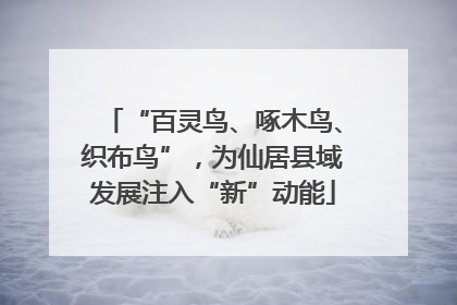 “百灵鸟、啄木鸟、织布鸟”，为仙居县域发展注入“新”动能