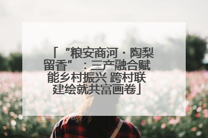 “粮安商河・陶梨留香”：三产融合赋能乡村振兴 跨村联建绘就共富画卷