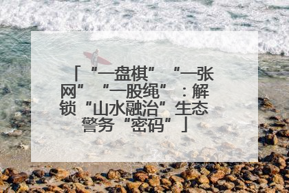“一盘棋”“一张网”“一股绳”：解锁“山水融治”生态警务“密码”