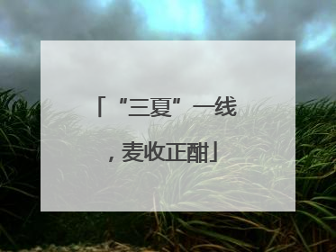 “三夏”一线，麦收正酣