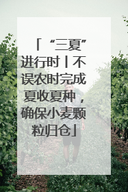 “三夏”进行时丨不误农时完成夏收夏种，确保小麦颗粒归仓
