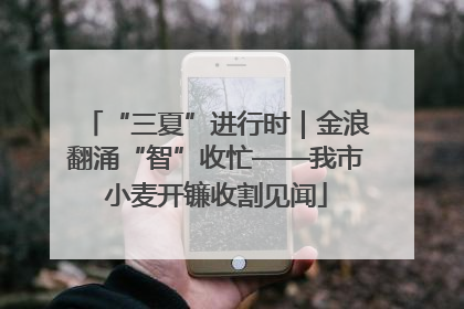 “三夏”进行时｜金浪翻涌“智”收忙——我市小麦开镰收割见闻