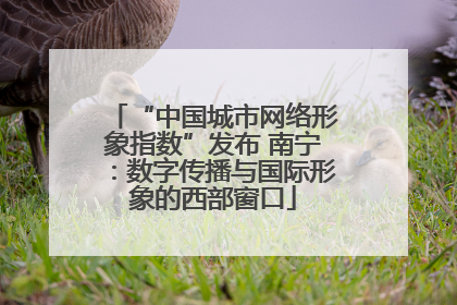 “中国城市网络形象指数”发布 南宁：数字传播与国际形象的西部窗口