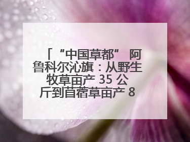 “中国草都” 阿鲁科尔沁旗：从野生牧草亩产 35 公斤到苜蓿草亩产 800 公斤以上