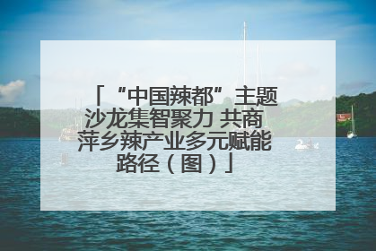 “中国辣都”主题沙龙集智聚力 共商萍乡辣产业多元赋能路径（图）