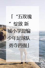 “五玫瑰”绽放 新城小学混编少年足球队勇夺四强