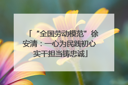 “全国劳动模范”徐安清：一心为民践初心 实干担当铸忠诚