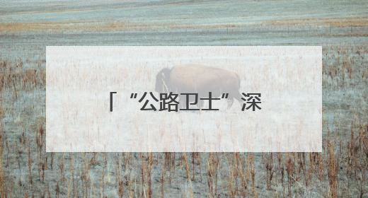 “公路卫士”深夜救援获锦旗