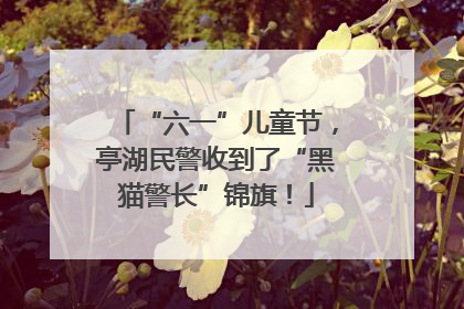 “六一”儿童节，亭湖民警收到了“黑猫警长”锦旗！