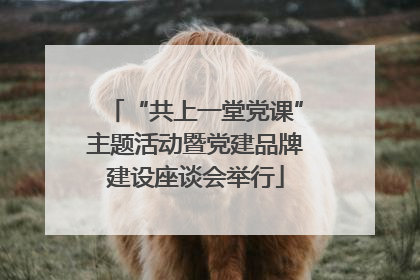 “共上一堂党课”主题活动暨党建品牌建设座谈会举行