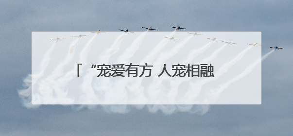 “宠爱有方 人宠相融 文明共享”青岛市市南区文明养犬主题实践活动举办