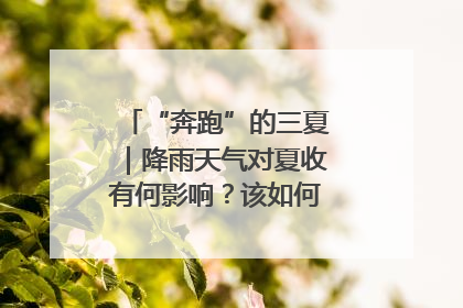 “奔跑”的三夏｜降雨天气对夏收有何影响？该如何防范？一文了解