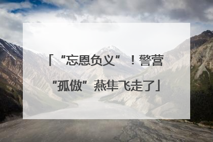 “忘恩负义”！警营“孤傲”燕隼飞走了