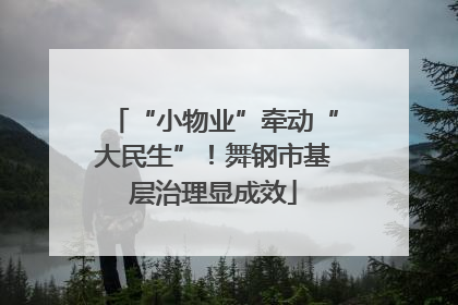 “小物业”牵动“大民生”！舞钢市基层治理显成效