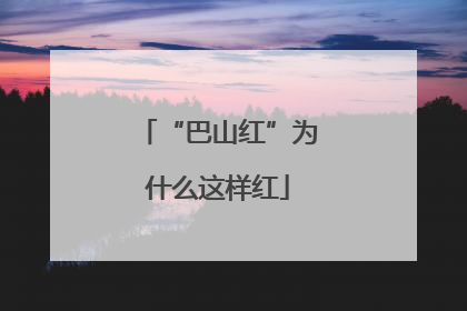“巴山红”为什么这样红