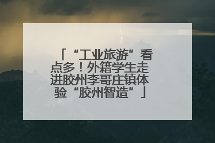 “工业旅游”看点多！外籍学生走进胶州李哥庄镇体验“胶州智造”