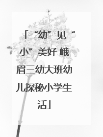 “幼”见“小”美好 峨眉三幼大班幼儿探秘小学生活