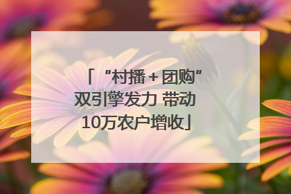 “村播＋团购”双引擎发力 带动10万农户增收