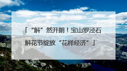 “斛”然开朗！宝山罗泾石斛花节绽放“花样经济”