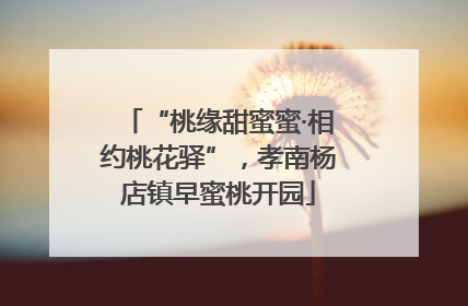 “桃缘甜蜜蜜·相约桃花驿”，孝南杨店镇早蜜桃开园
