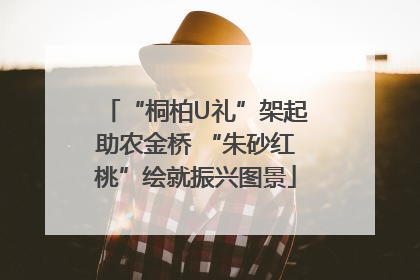 “桐柏U礼”架起助农金桥 “朱砂红桃”绘就振兴图景
