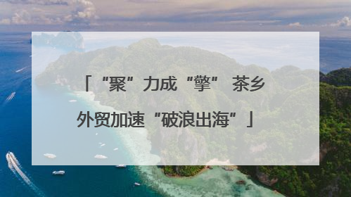 “聚”力成“擎” 茶乡外贸加速“破浪出海”