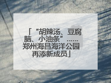 “胡辣汤、豆腐脑、小油条”……郑州海昌海洋公园再添新成员