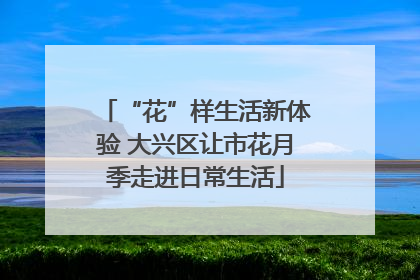 “花”样生活新体验 大兴区让市花月季走进日常生活