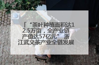 “茶叶种植面积达12.5万亩，全产业链产值达57亿元” 浙江武义茶产业全链发展“加速度”