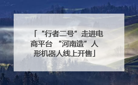 “行者二号”走进电商平台 “河南造”人形机器人线上开售