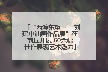 “西渡东望——刘建中油画作品展”在商丘开展 60余幅佳作展现艺术魅力