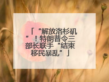 “解放洛杉矶”！特朗普令三部长联手“结束移民暴乱”