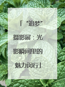 “追梦”摄影展：光影瞬间里的魅力闵行