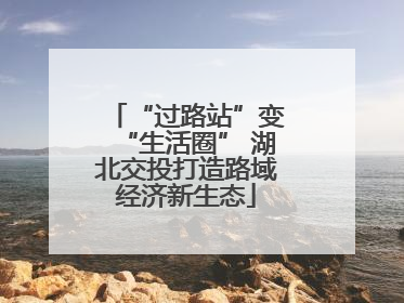 “过路站”变“生活圈” 湖北交投打造路域经济新生态