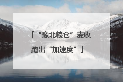 “豫北粮仓”麦收跑出“加速度”