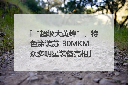 “超级大黄蜂”、特色涂装苏-30MKM 众多明星装备亮相