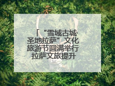 “雪域古城·圣地拉萨”文化旅游节圆满举行 拉萨文旅提升项目惊艳亮相